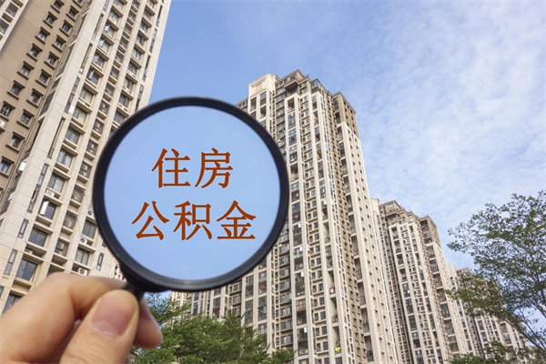 鹿邑怎么取住房住房公积金（取住房公积金方法）